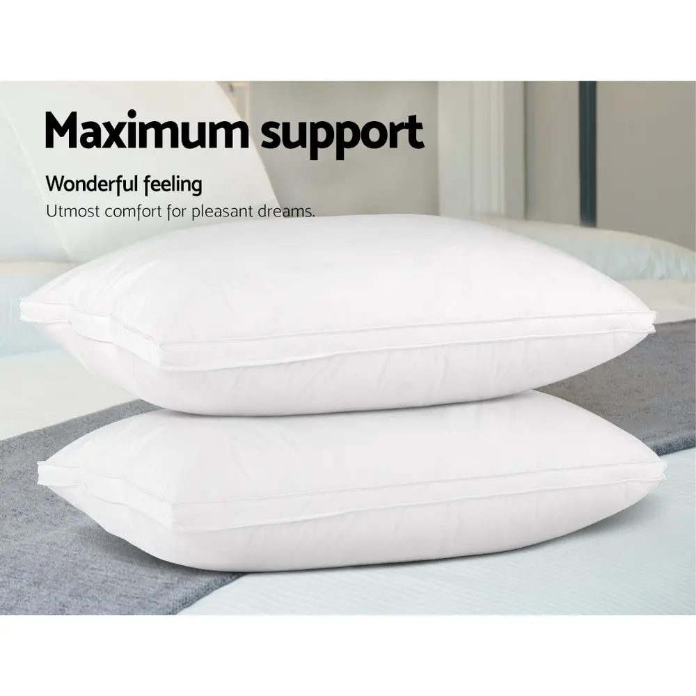 PILLOW-GOOSE-WALLX2-202502281434-03.webp