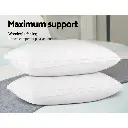 PILLOW-GOOSE-WALLX2-202502281434-03.webp