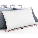 PILLOW-GOOSE-WALLX2-202502281434-01.webp