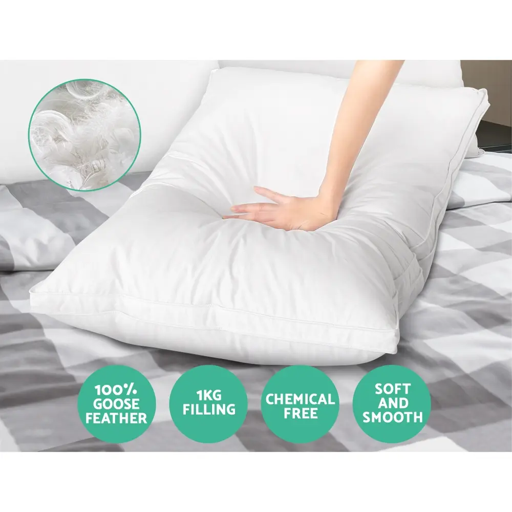 PILLOW-GOOSE-WALLX2-202502281434-05.webp