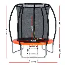 TRAMPO-C-C6-OR-139306-01.webp