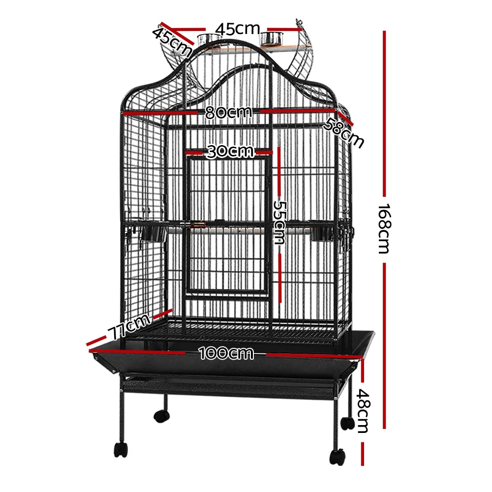 PET-BIRDCAGE-B022-S-202502281802-01.webp