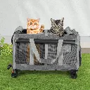 Lifestyle - 2026-01-06T101647.789.webp