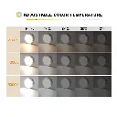 V1171-CC-USB-CCT6-1-WHITE-202512251242-01.webp