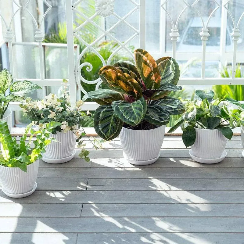 V528-FLOWERPOT-6PCS-WHITE-190103-202510030219-03.webp