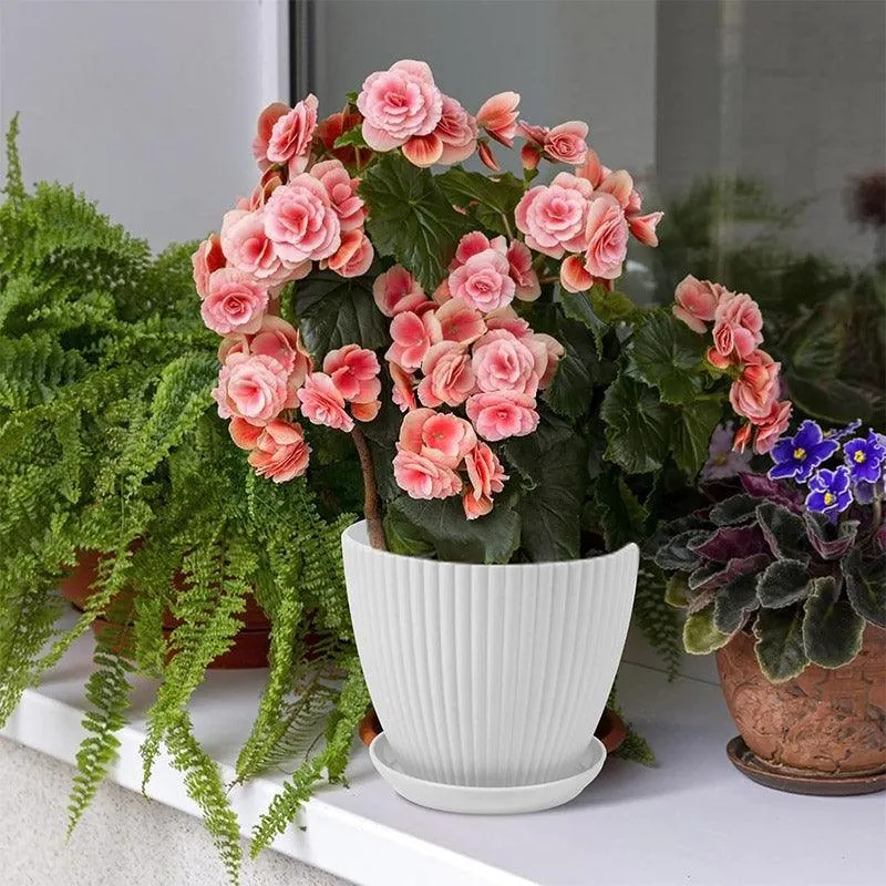 V528-FLOWERPOT-6PCS-WHITE-190103-202510030219-04.webp