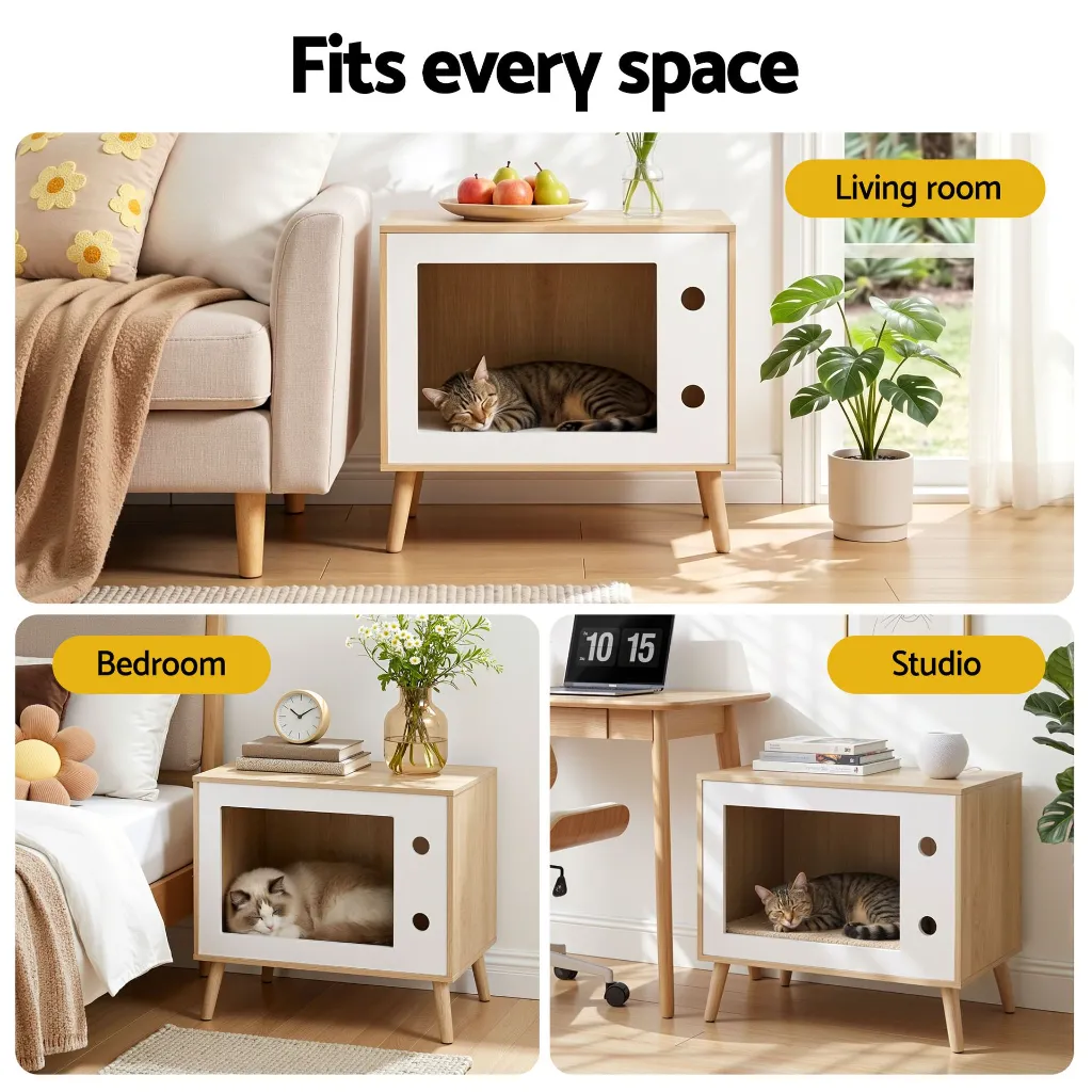 FUR-S-BS-PET02-WD-202604161800-05.webp