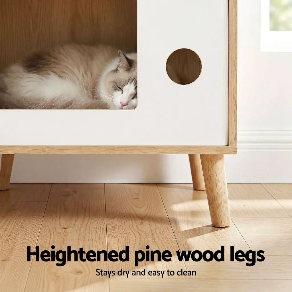 FUR-S-BS-PET02-WD-202604161800-04.webp