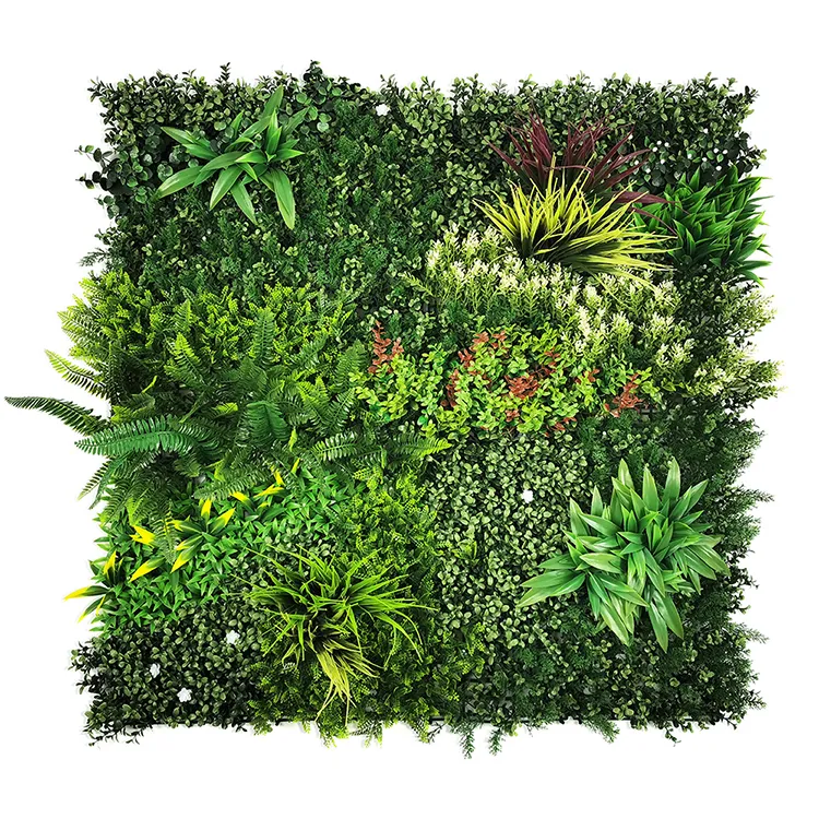 V278-5-X-CCGA074-GREENPLANT-67611-00.webp