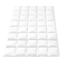 QUILT-GOOSE-800-S1-202509021805-00.webp