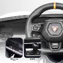 car-lam-bk_5_1.webp