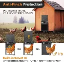 36374_4_NSxtmyDdr.webp