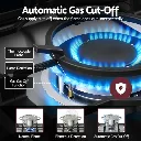 CT-GAS-5B-L-SS-05.webp