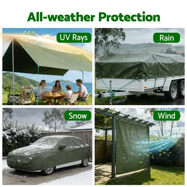 TARP-GR-2X3-202512251800-05.webp