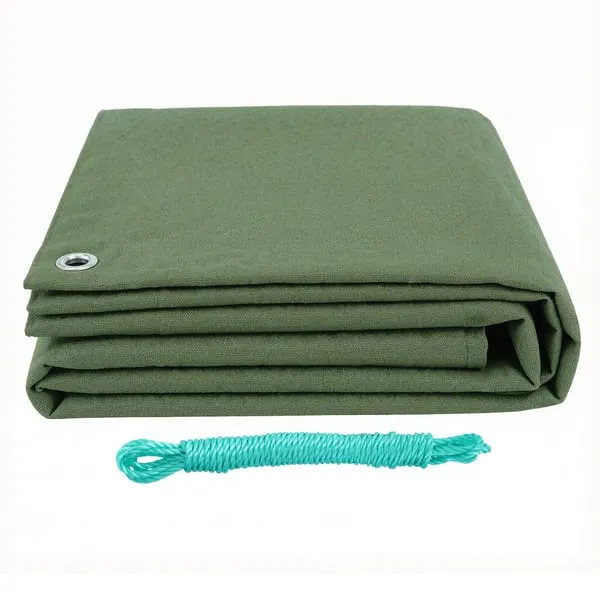 TARP-GR-2X3-202512251800-02.webp