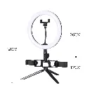 shortringlight.webp
