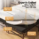 FOAM-MFM-BF-RABAM-D-03.webp