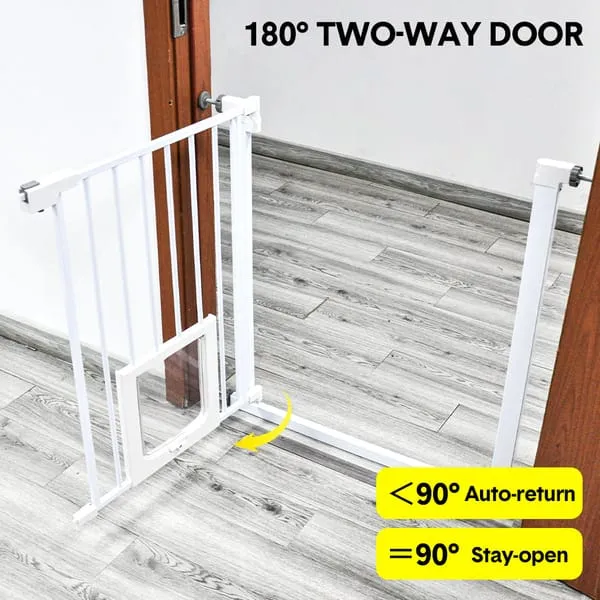 V985-CATDOORGATE-202602231550-02.webp