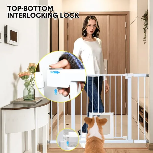 V985-CATDOORGATE-202602231550-03.webp