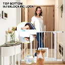 V985-CATDOORGATE-202602231550-03.webp