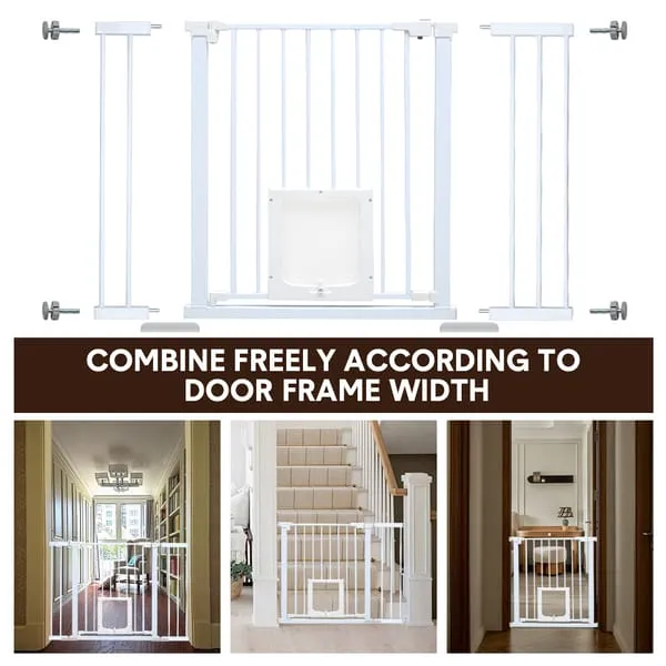 V985-CATDOORGATE-202602231550-10.webp