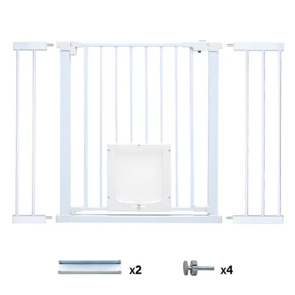 V985-CATDOORGATE-202602231550-06.webp