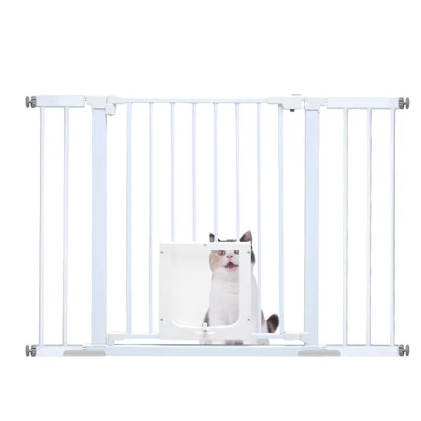 V985-CATDOORGATE-202602231550-00.webp