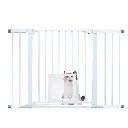 V985-CATDOORGATE-202602231550-00.webp