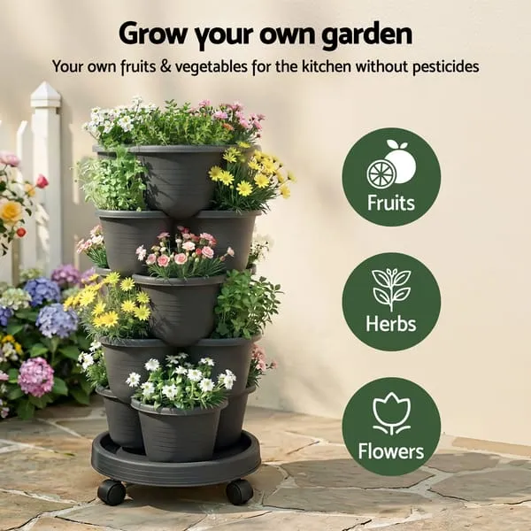 GARDEN-5T-DGY-202601201822-03.webp