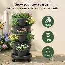 GARDEN-5T-DGY-202601201822-03.webp