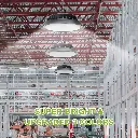 59185_2.webp