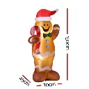 XMAS-INF-GINGER-CANDY-5FT-202509051800-02.webp