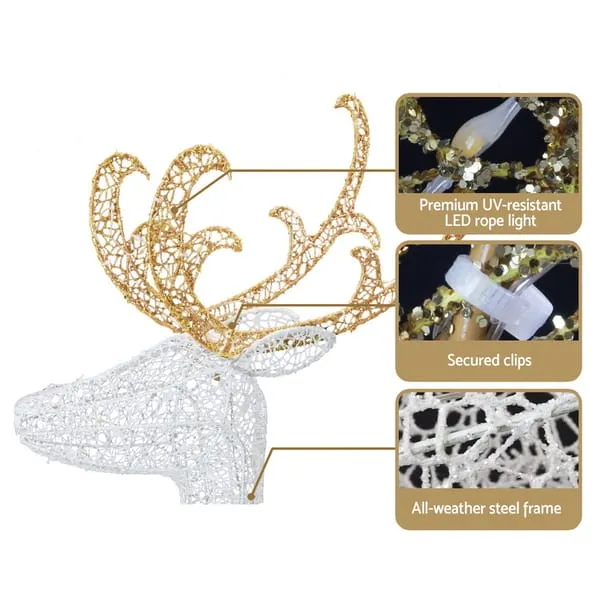 XMAS-MOT-DEER-SLED-WM-05 (1).webp