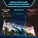 V274-AQ-LED60-12W-02.webp