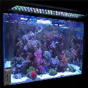 V201-YGD0018CO8X1-202512111548-02.webp