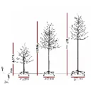 XMAS-MOT-TWIG-3PC-07.webp