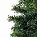 XM-TR-FULL-7F-PINE-202509291452-02.webp