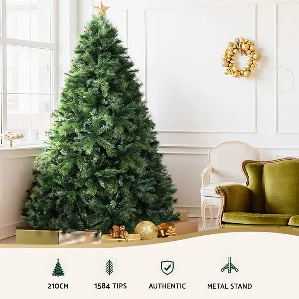 XM-TR-FULL-7F-PINE-202509291452-03.webp