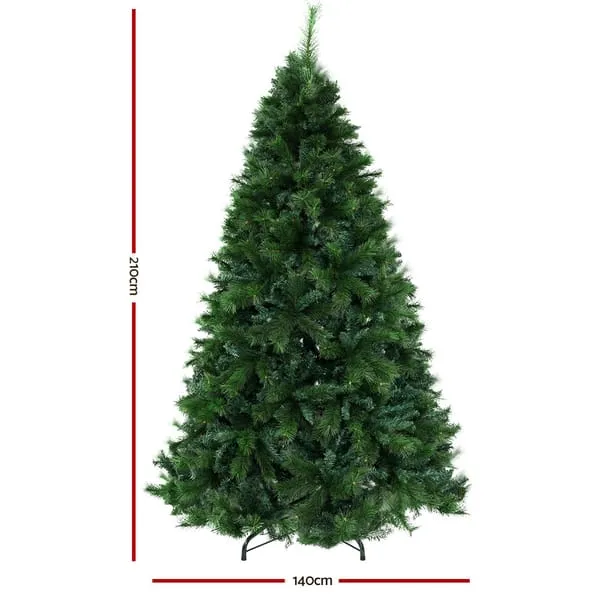 XM-TR-FULL-7F-PINE-202509291452-01.webp