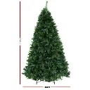 XM-TR-FULL-7F-PINE-202509291452-01.webp