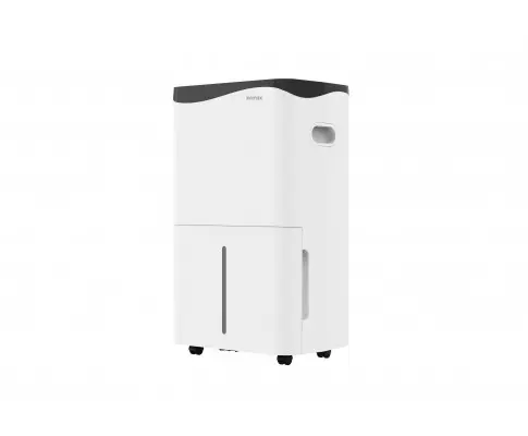 V404-ION650-67533-02.webp