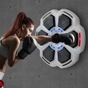 Centra Electronic Punching Box Music Machine Wall Mounted Bluetooth 9 Speeds