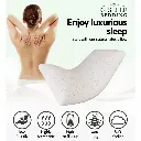 Giselle Bedding Natural Latex Pillow Classic Twin Pack