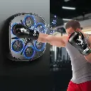 Centra Punching Box With 12 OZ Boxing Glove