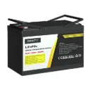 Giantz 12V 100Ah Lithium Battery LiFePO4 Deep Cycle Box Solar Caravan Camping