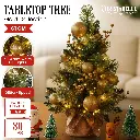 Christabelle 61cm Battery-operated Christmas Tree Warm Lights Led Table Top Gold 