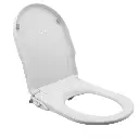 Non Electric Bidet Toilet Seat D Cover Bathroom Dual Nozzle Spray Water Wash 