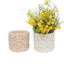 Set 2 Asst Flower Embossed Planters w Hole + Plug 18cm 
