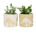 Set 2 Asst Mushroom Planters w Hole + Plug 17cm 