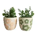 Set 2 Assorted Pastel Flower Planters w Hole + Plug 17cm 